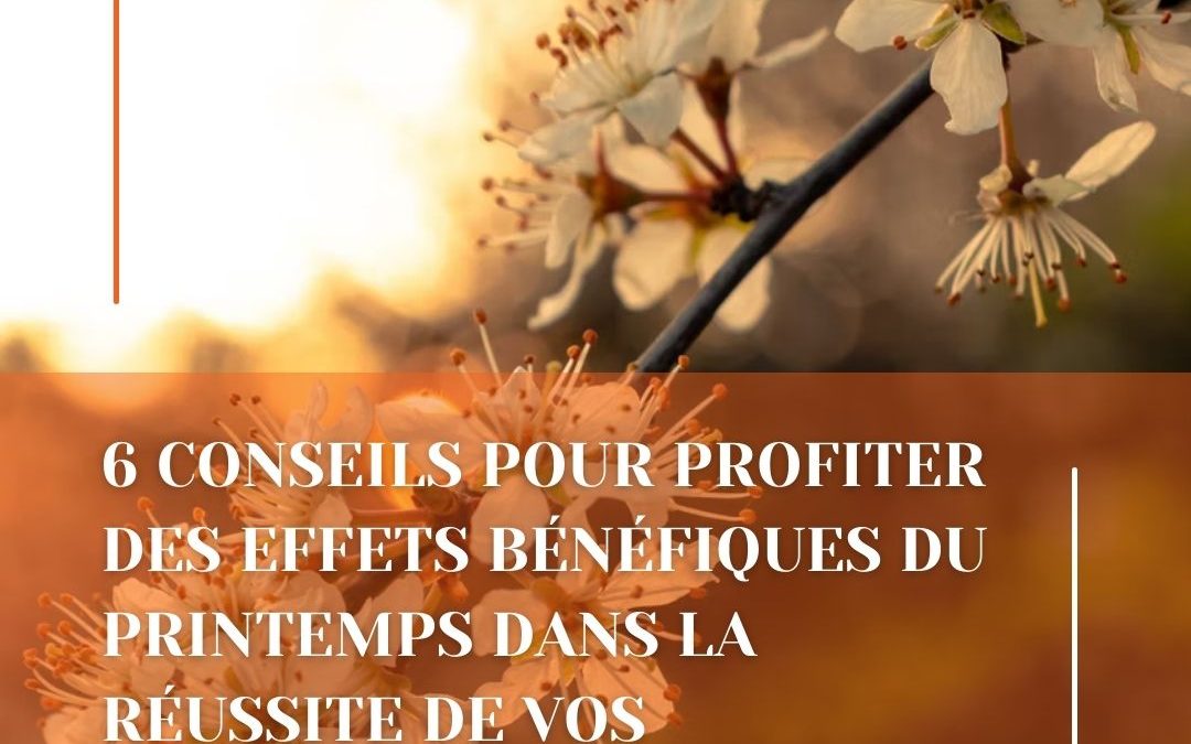 6 conseils pour profiter des effets bénéfiques du printemps dans la réussite de vos objectifs